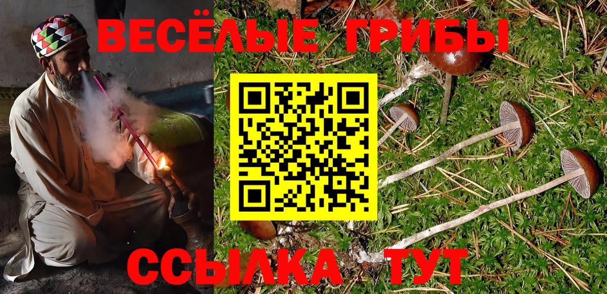 Галлюциногенные грибы GOLDEN TEACHER  Вход с VPN  Галлюциногенные грибы Cubensis  Минусинск 