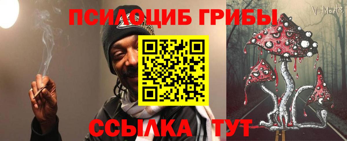 Галлюциногенные грибы мицелий Минусинск